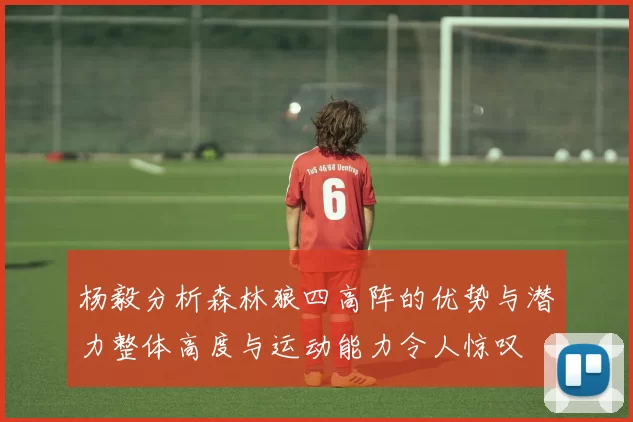 杨毅分析森林狼四高阵的优势与潜力整体高度与运动能力令人惊叹